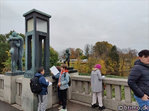 Miniature af billede nummer 13029