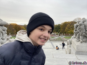 Miniature af billede nummer 13031