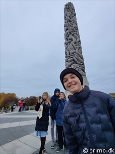 Miniature af billede nummer 13035