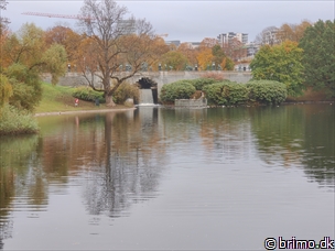 Miniature af billede nummer 13042