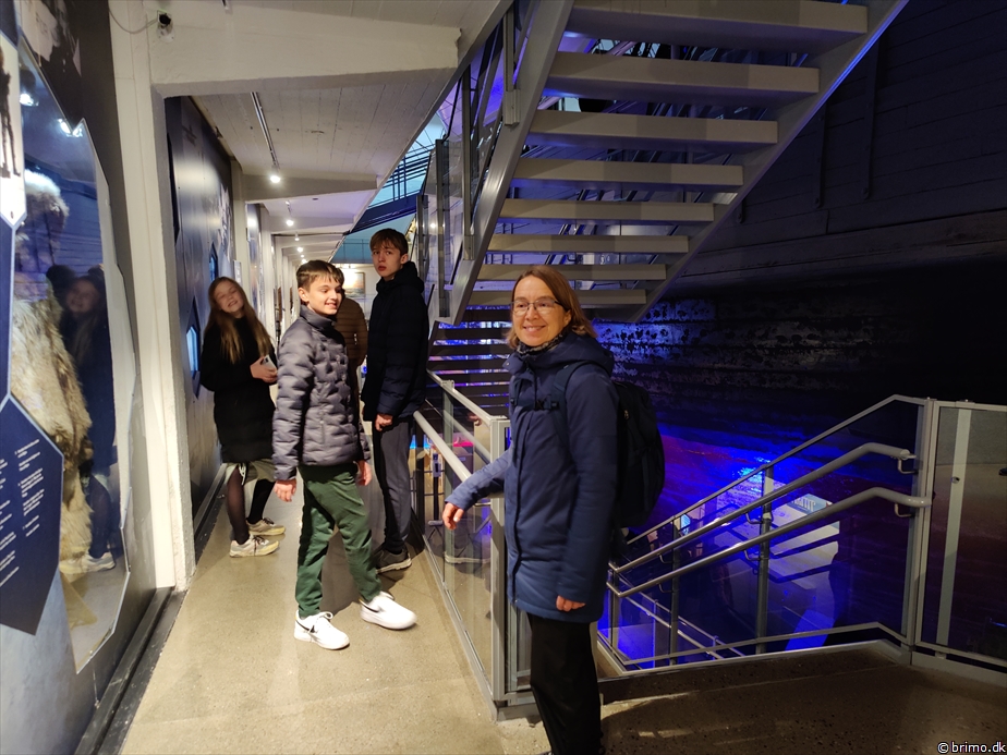 Billede nummer 13049