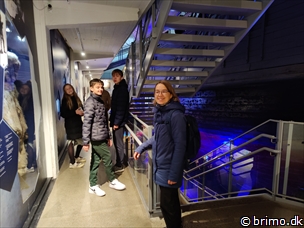 Miniature af billede nummer 13049