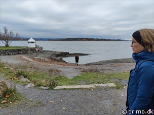 Miniature af billede nummer 13052