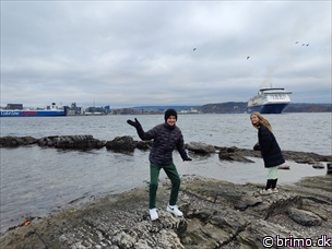 Miniature af billede nummer 13053