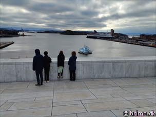 Miniature af billede nummer 13054