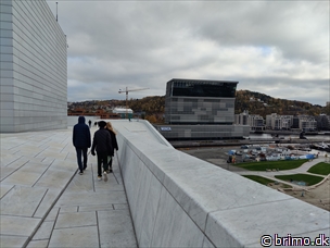 Miniature af billede nummer 13055