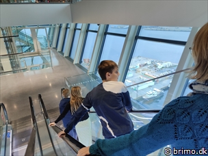 Miniature af billede nummer 13056