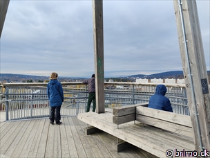 Miniature af billede nummer 13059