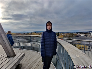 Miniature af billede nummer 13060