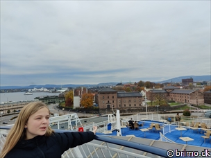 Miniature af billede nummer 13061