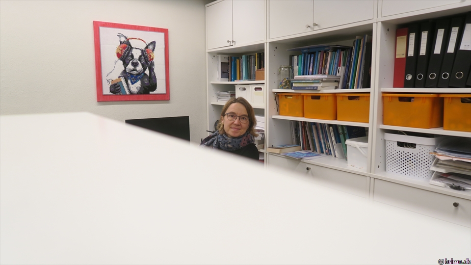 Billede nummer 13001