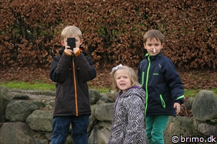 Miniature af billede nummer 4575