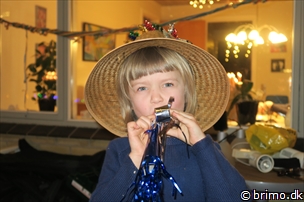 Miniature af billede nummer 4580