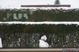 Miniature af billede nummer 5565