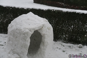 Miniature af billede nummer 5567