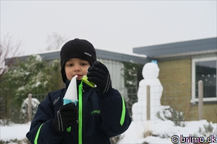 Miniature af billede nummer 5568