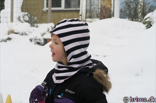 Miniature af billede nummer 5569