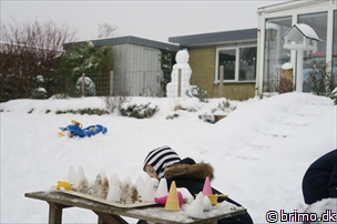 Miniature af billede nummer 5570