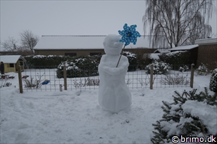 Miniature af billede nummer 5572