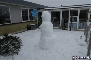 Miniature af billede nummer 5573