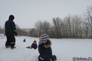 Miniature af billede nummer 5574