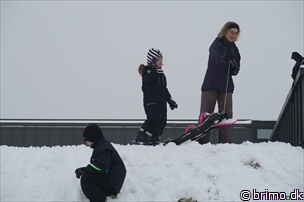 Miniature af billede nummer 5575