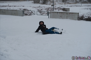 Miniature af billede nummer 5576