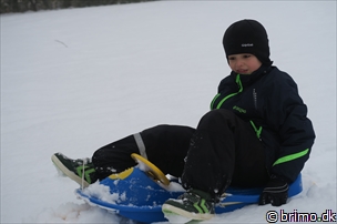 Miniature af billede nummer 5577