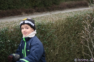 Miniature af billede nummer 5591