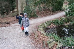 Miniature af billede nummer 5593