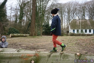 Miniature af billede nummer 5594