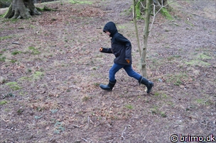 Miniature af billede nummer 5596