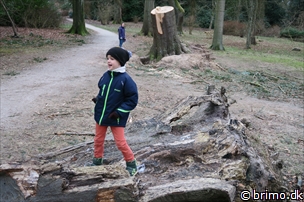 Miniature af billede nummer 5597