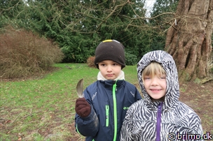 Miniature af billede nummer 5598