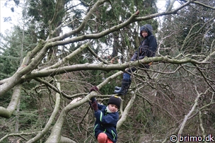 Miniature af billede nummer 5601