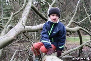 Miniature af billede nummer 5602