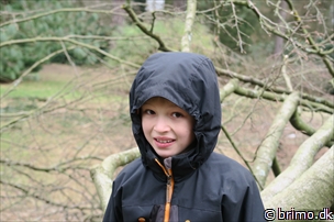 Miniature af billede nummer 5603