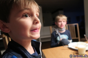 Miniature af billede nummer 5605