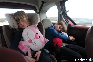 Miniature af billede nummer 6582