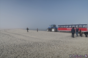 Miniature af billede nummer 6586