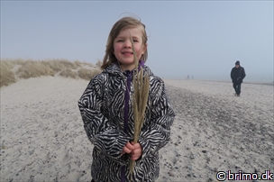 Miniature af billede nummer 6587