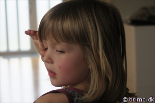 Miniature af billede nummer 6608