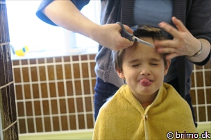 Miniature af billede nummer 6609