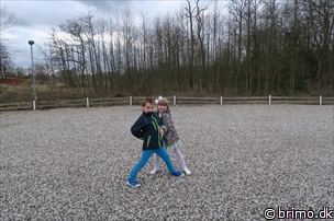 Miniature af billede nummer 6619