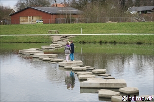 Miniature af billede nummer 6620