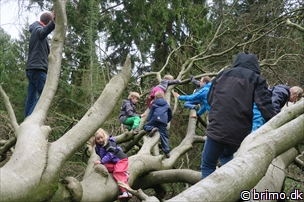 Miniature af billede nummer 6621