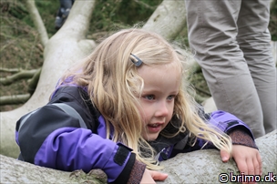 Miniature af billede nummer 6622