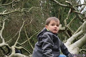 Miniature af billede nummer 6623