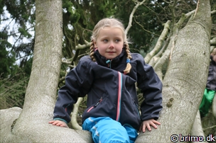 Miniature af billede nummer 6624