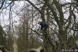 Miniature af billede nummer 6626